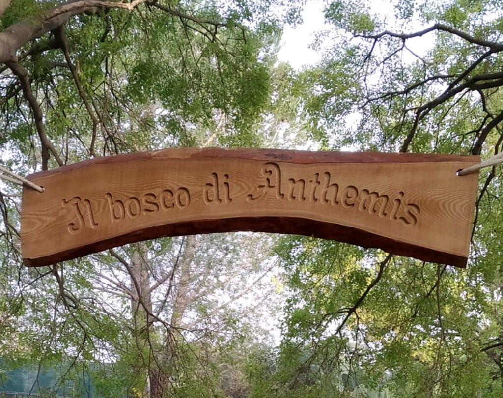 Plaque personnalisée en bois de châtaignier sculptée en bas-relief